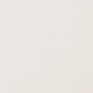 Arctic Whiteâ„¢ 3010