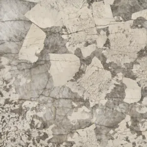 Patagonia Quartzite Honed