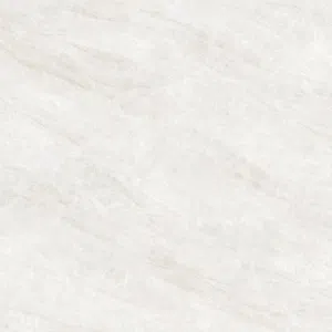 Champagneâ„¢ 601S